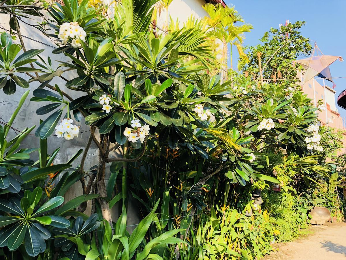 Sophat Villa Siem Reap Eksteriør billede